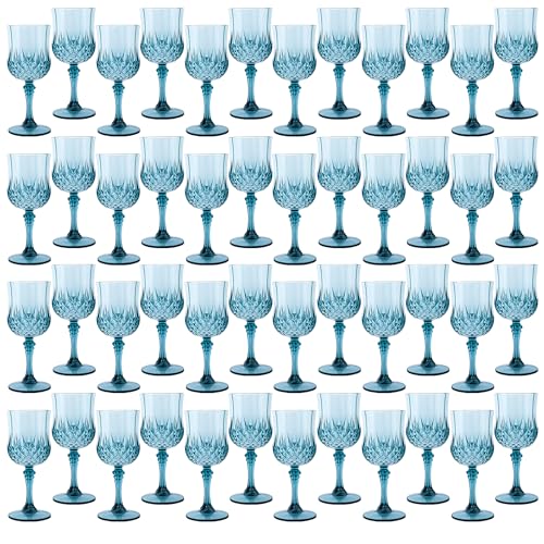 48Pack Plastic Wine Glasses (48 Count)
