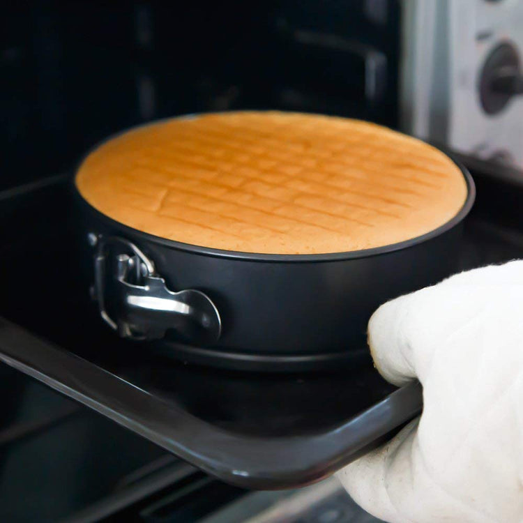 9 Inch Springform Pan