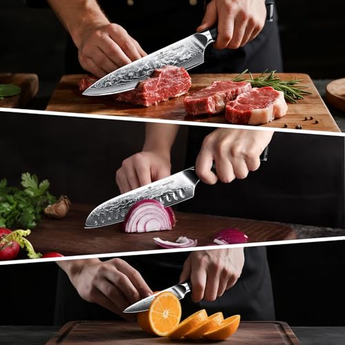 Damascus Knife Set (3 Count)