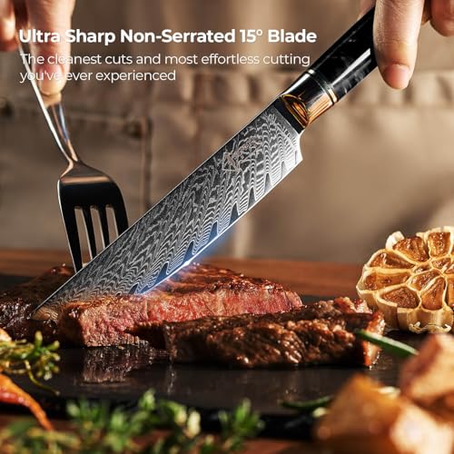 SENKEN Damascus Steak Knife Set (6 Count)