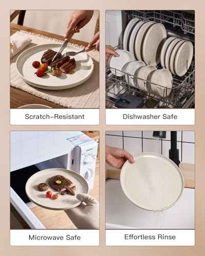 Stoneware Dinnerware Sets for 4 (12 Count)