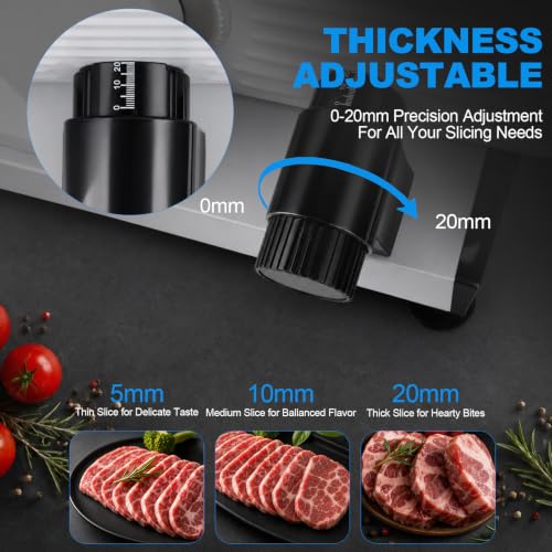 Meat Slicer 110V Electric Home Meat Slicer with 2 Removable 9''Stainless Steel Blades (Silver)