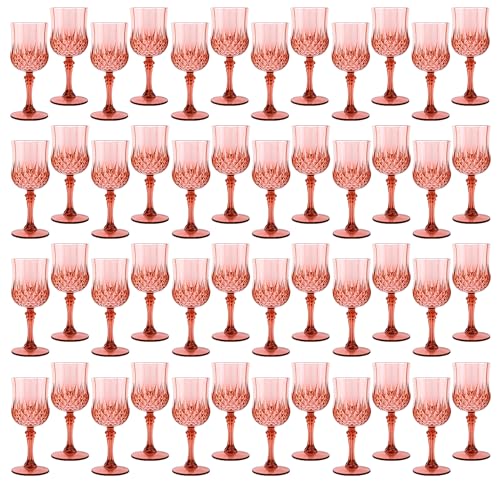 48Pack Plastic Wine Glasses (48 Count)