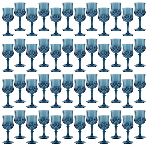 48Pack Plastic Wine Glasses (48 Count)