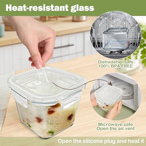 Borosilicate Glass Soup Containers with Lids (Transparent6)