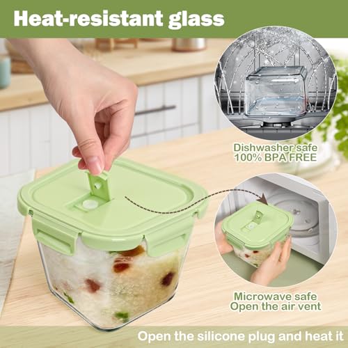 Borosilicate Glass Soup Containers with Lids (Multicolor)