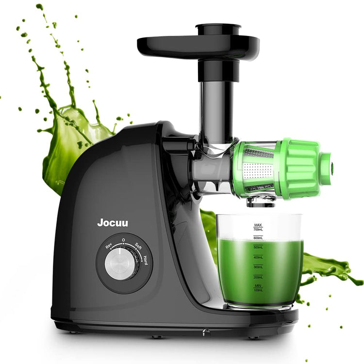 Slow Masticating Juicer with 2