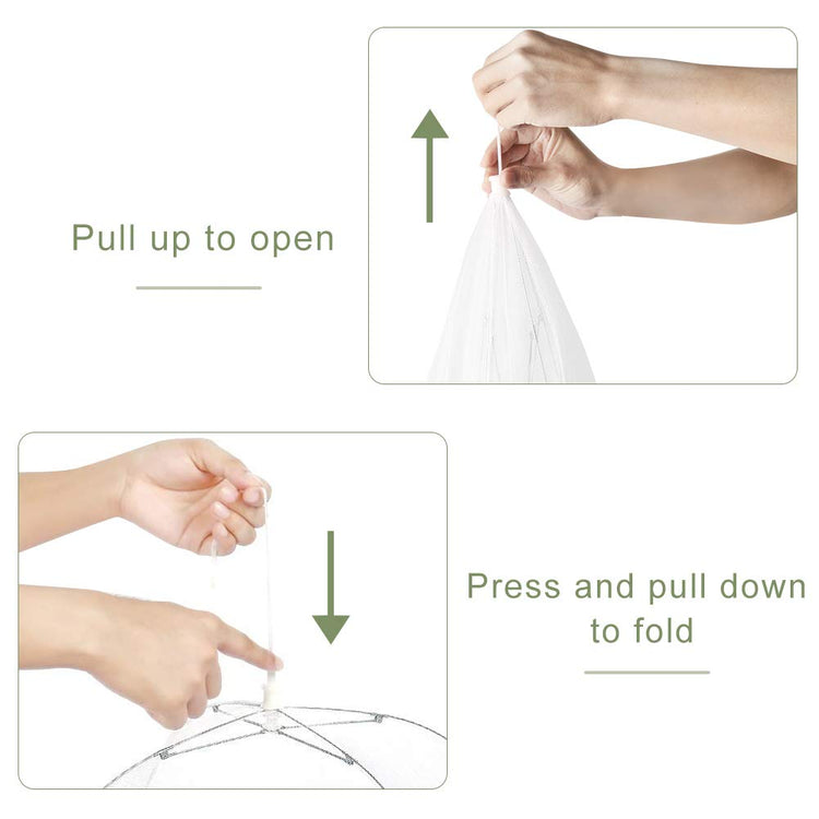 6 Pack Food Covers 17 Inch Pop (6 Count)