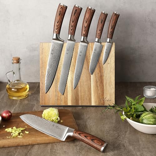 EDIB 6 Pcs Damascus Kitchen Knife Set with Magnetic Block
