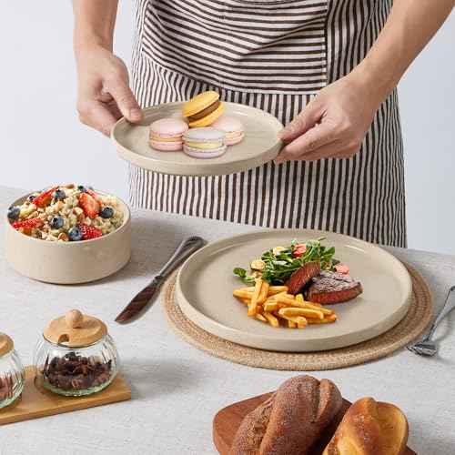 6 Piece Stoneware Dinnerware Sets (6 Count)