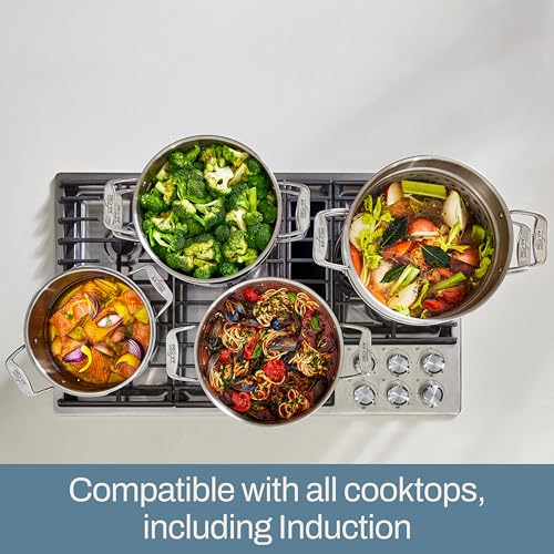 Simply Strain Stainless Steel 12 Qt Stock Pot with Strainer Insert