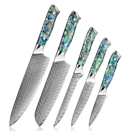 SENKEN Damascus Steel Kitchen Knife Set (5 Count)