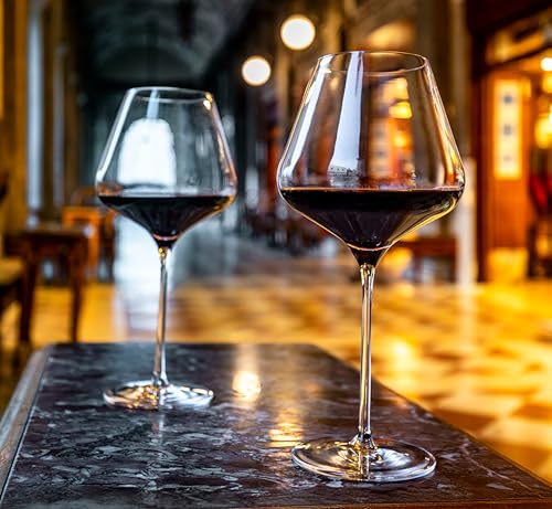 Burgundy Glasses Quatrophil Set of 2 (2 Count)