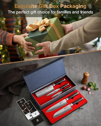Kitchen Cutting Knife Set of 5 Piece