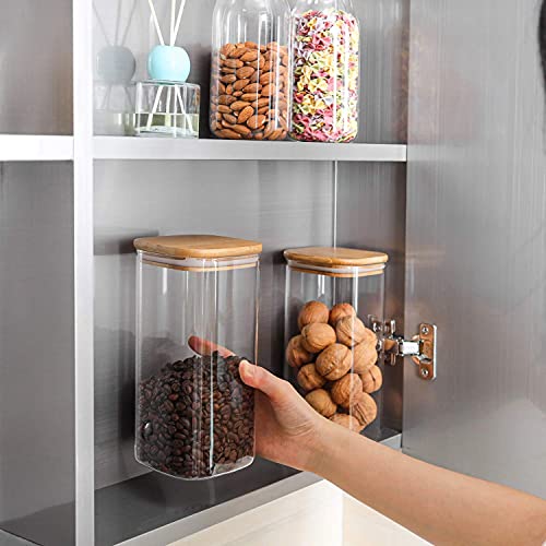 Glass Storage Containers with Lids 1.6 Qt (1.6 qt x 3)