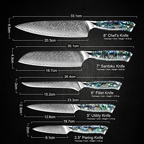 SENKEN Damascus Steel Kitchen Knife Set (5 Count)