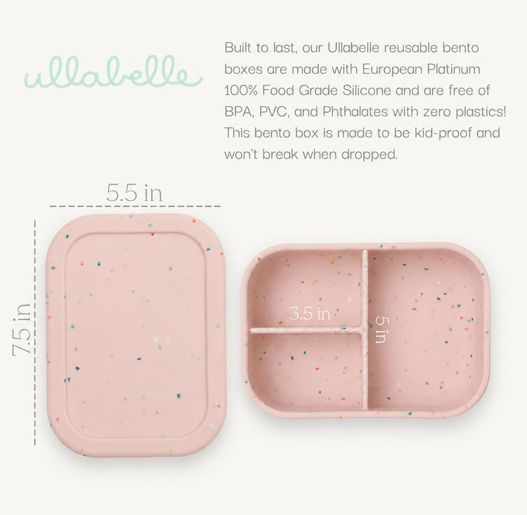 Kids Bento Box