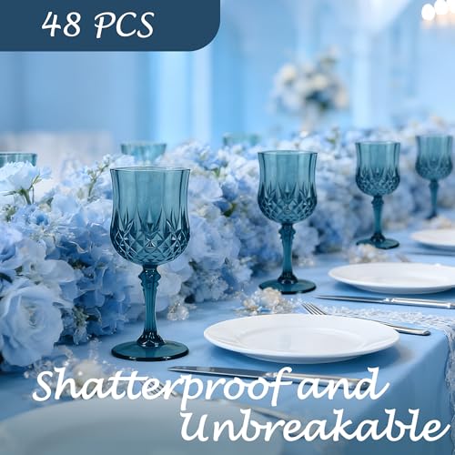 48Pack Plastic Wine Glasses (48 Count)