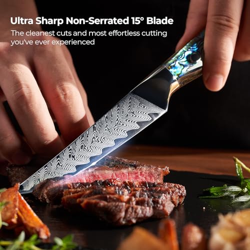 SENKEN 6 Piece Damascus Steak Knife Set (6 Count)