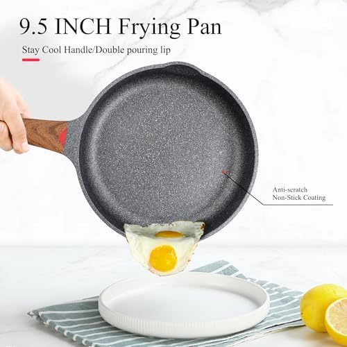 9.5 Inch Nonstick Frying Pan with Lid