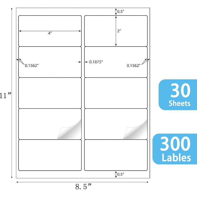 2x4 inch Shipping Labels (300 Count)