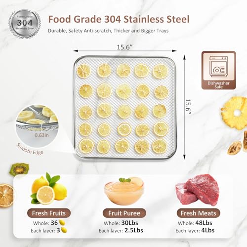 Commercial Large 12 Trays Food Dehydrator