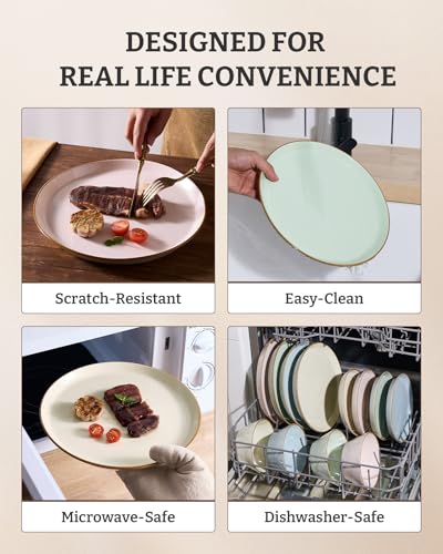 Saturn Stoneware Dishes Dinnerware Set for 8 (24 Count)