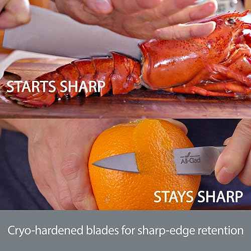 Forged Knives Carving Set (2 Count)