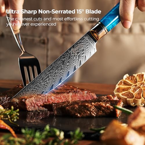 SENKEN Damascus Steak Knife Set (4 Count)