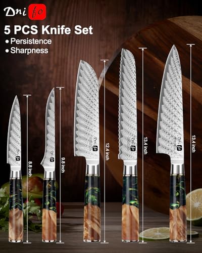 5PCS Damascus Knife Set (5 Count)