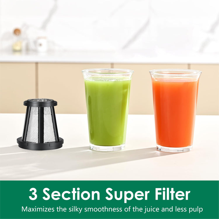 Slow Masticating Juicer