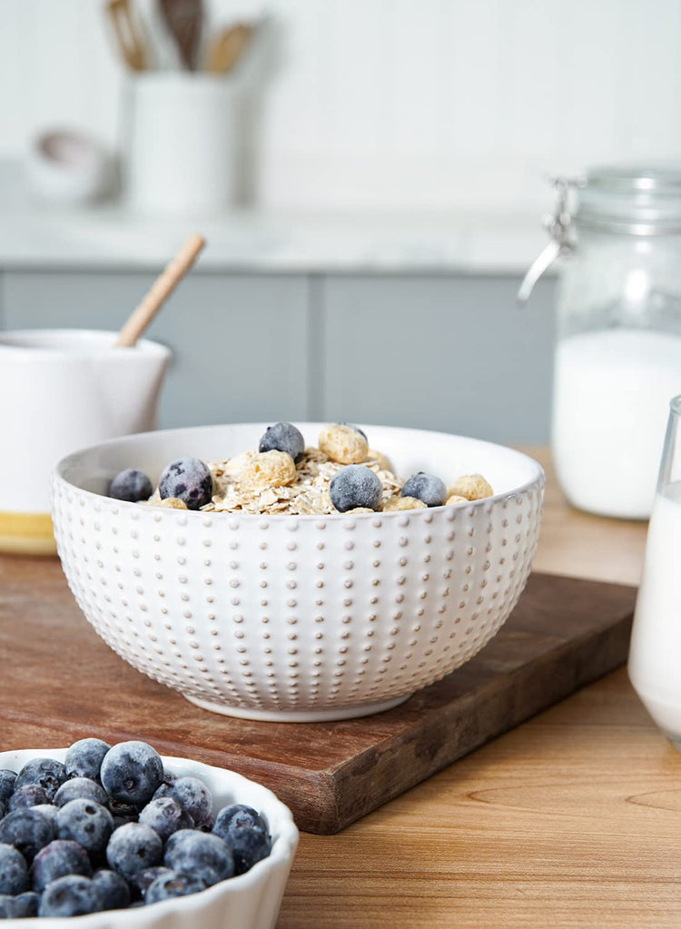 Ceramic Dishes Set for 4 (8 Count)