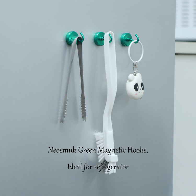 Magnetic Hooks (10 Count)