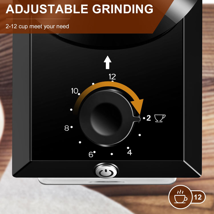 Electric Burr Coffee Grinder