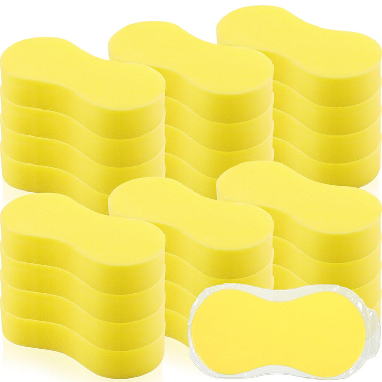 24 Pack Large Sponges Bulk Multi (24 Count)