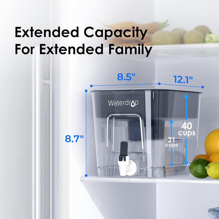 WFD 22L Large Water Filter Dispenser
