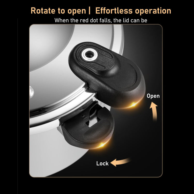 Stainless Steel Pressure Cooker