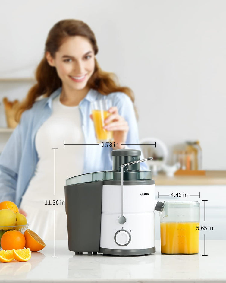 800W Juicer Machine