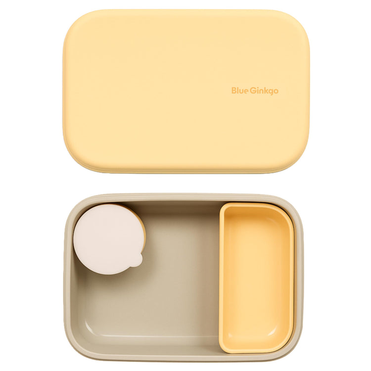 Bento Style Silicone Lunch Box Set