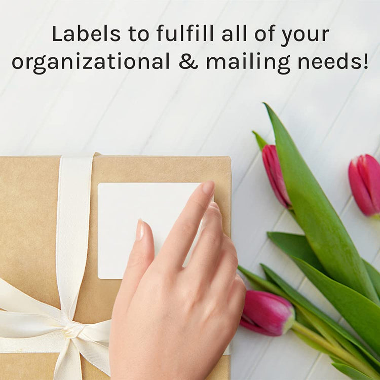 White Sticker FBA Labels (3000 Count)