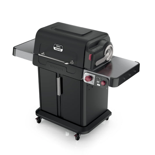 FlexFlame Grill & Smoker