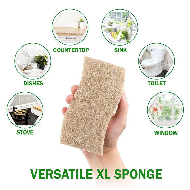 XL Sponges Kitchen (12 Count)