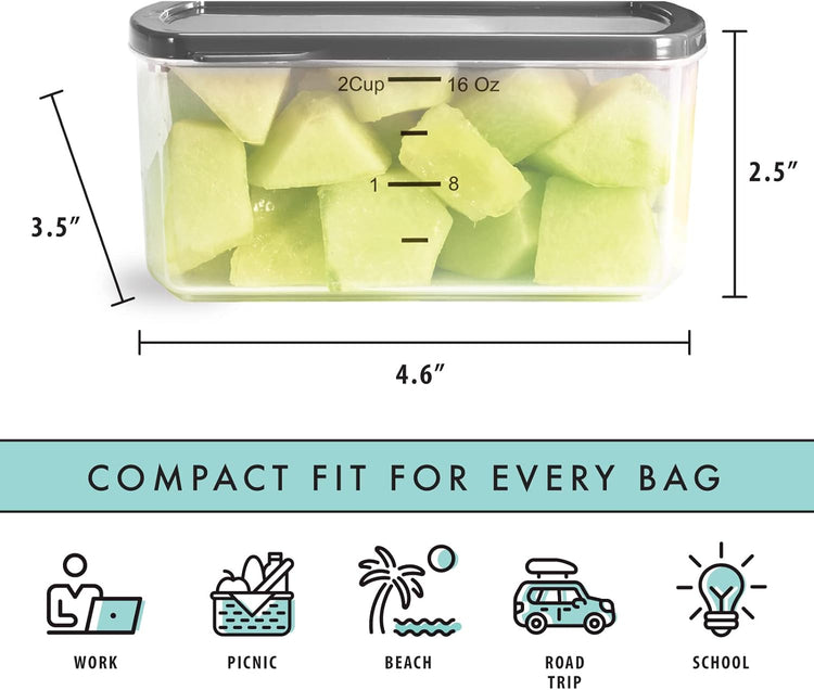 Fit & Fresh Small Plastic Containers With Lids 16 oz, Small Snack Containers With Lids For Adults and Kids, Reusable Leakproof Dressing and Condiment Containers With Two Attachable Ice Packs, 4PK, Light