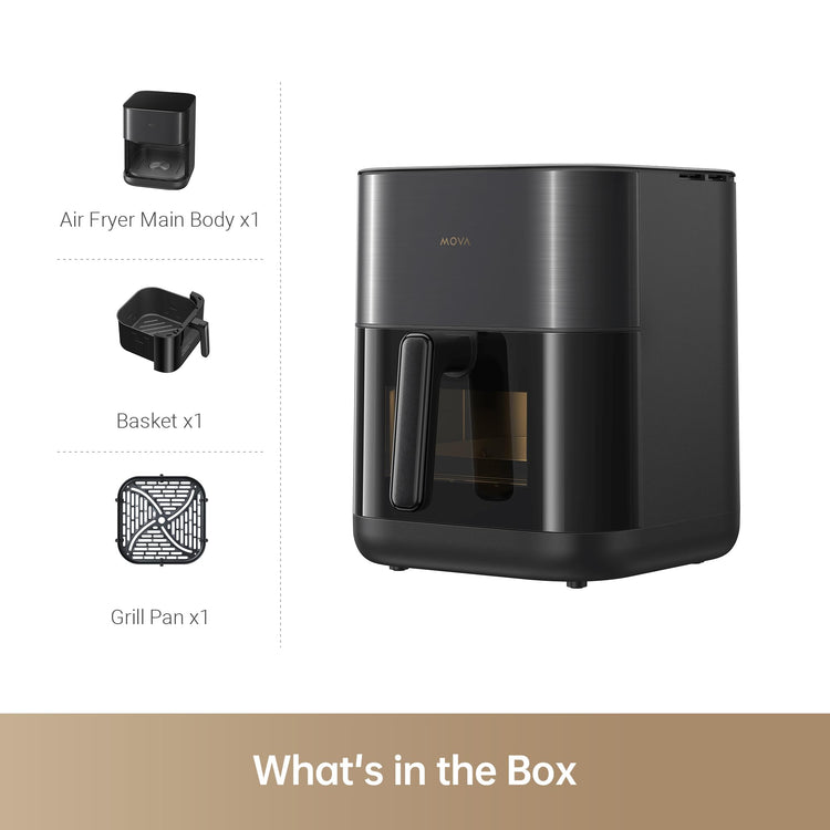 FD10Pro Air Fryer