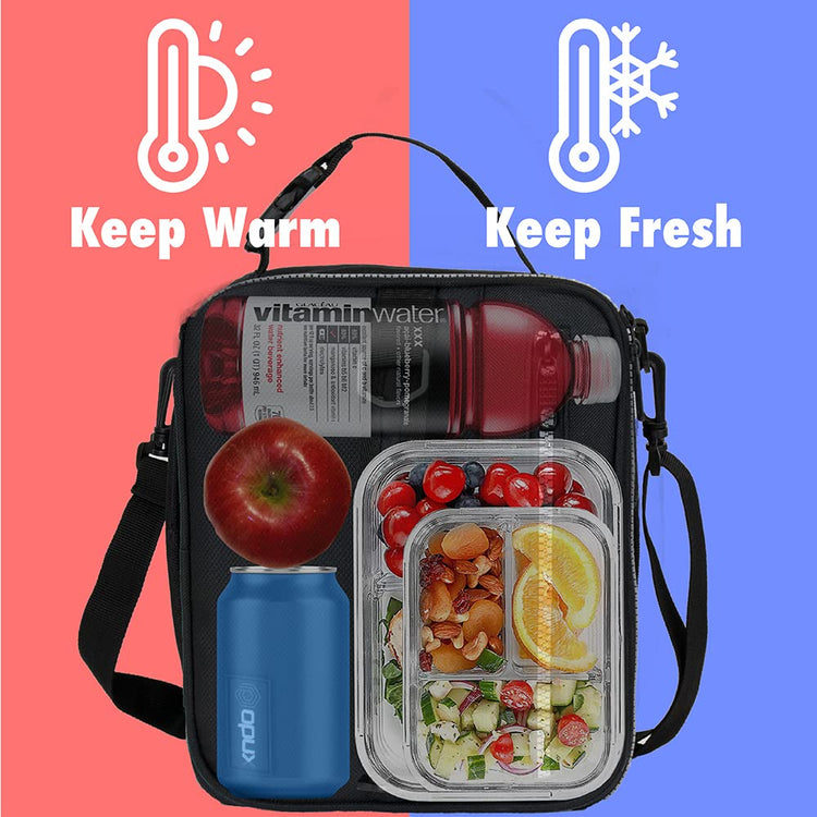 Insulated Lunch Bag for Men Women Kids