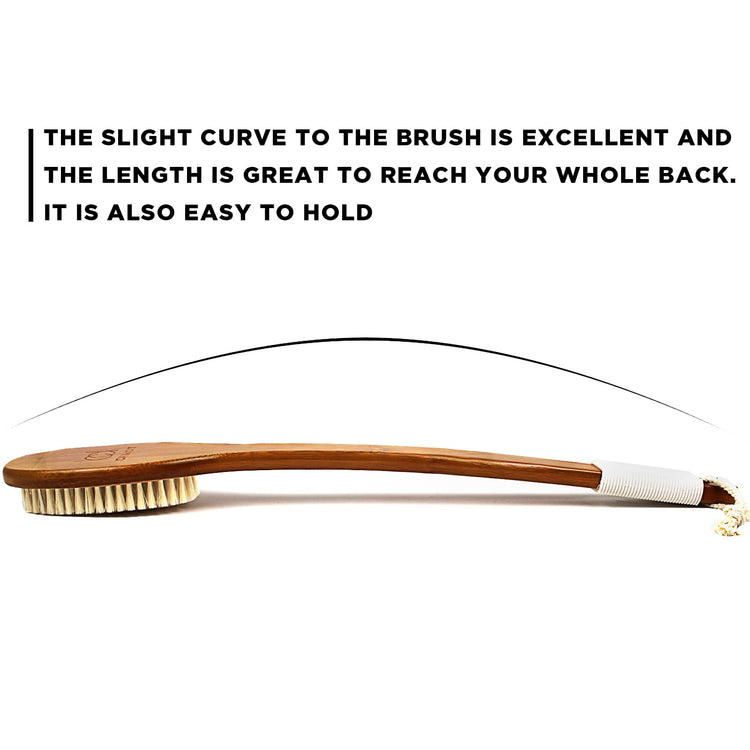 17.71Inch Natural Boar Bristles Anti