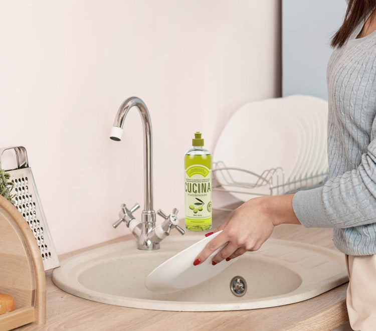 Fruits & Passion Concentrated Dish Soap (16.9 Fl Oz)