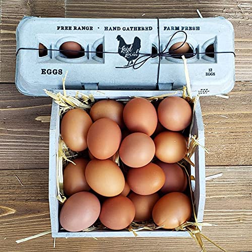 25 Egg Cartons