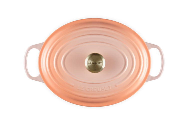 Enameled Cast Iron Oval Dutch Oven