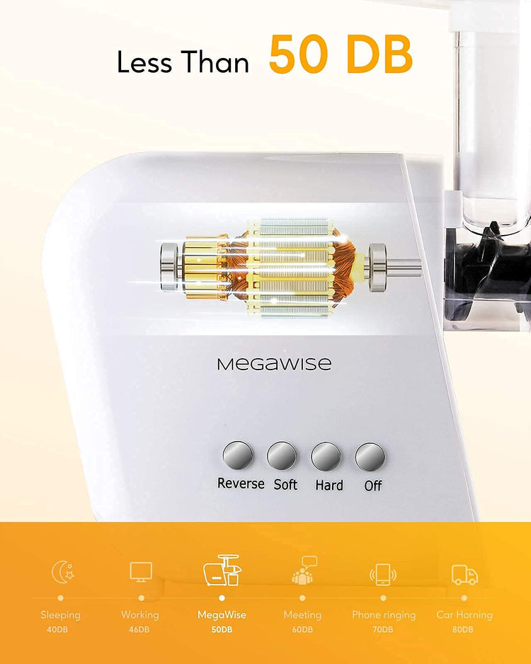 Pro 2025 Updated Slow Masticating Juicer